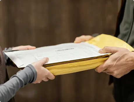 Professional Process Service